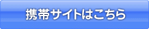 gуTCg͂